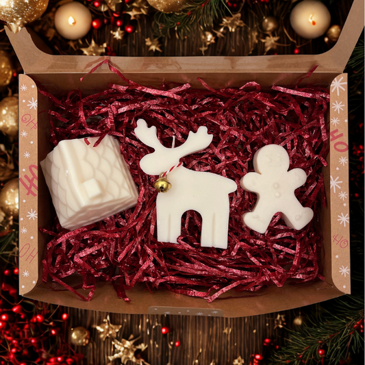 coffret fondants de noël artisanaux